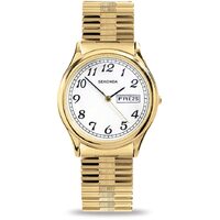 Men's Classic Gold Plated Analog Quartz Watch