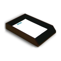 Leather Legal-Size Tray Burgundy Two-tone