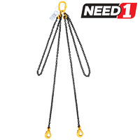 2 Leg Lifting Chain Sling with Clevis Self Locking Hook and Shorteners