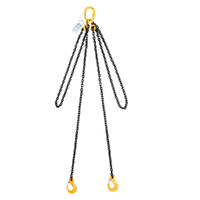 Chain Sling - 2-Leg - 8mm x 5m