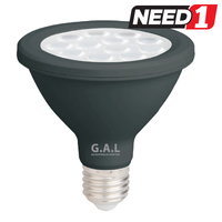 12W LED Globe PAR30