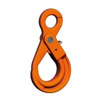 19/20mm Self Locking Eye Sling 3/4" Hook With Safety Latch