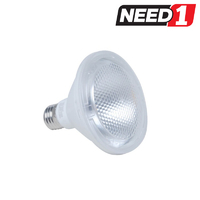 10W LED Globe PAR30