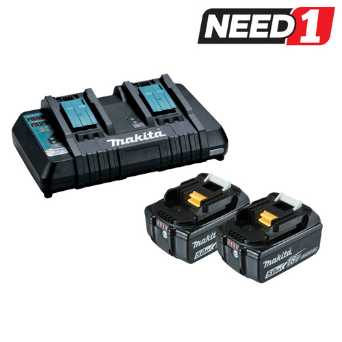 Dual Port Charger + Batteries