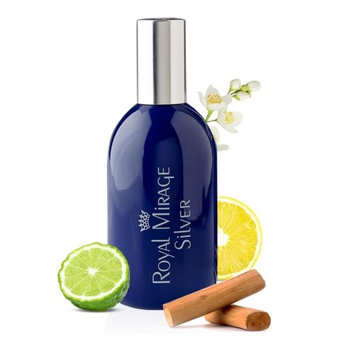 120ml Unisex Silver Oud Eau De Cologne Spray