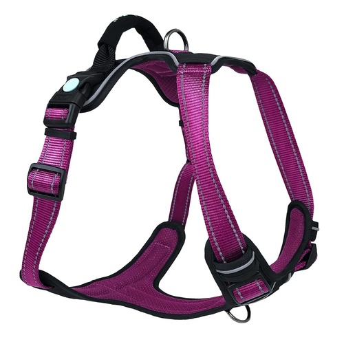 Ultimate Aurora Dog Harness in Large