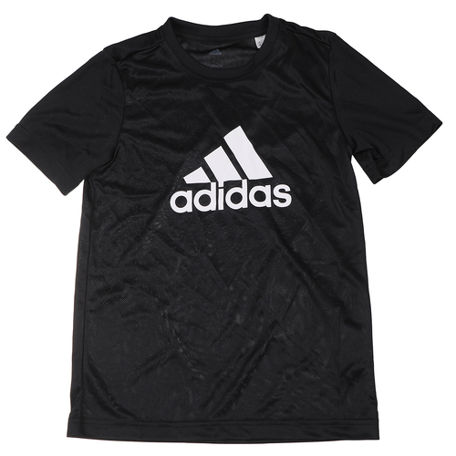 Boy's Assorted T-shirt