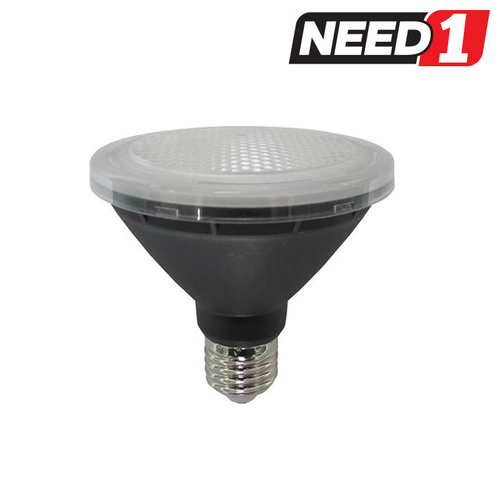 10W LED Globe PAR30 