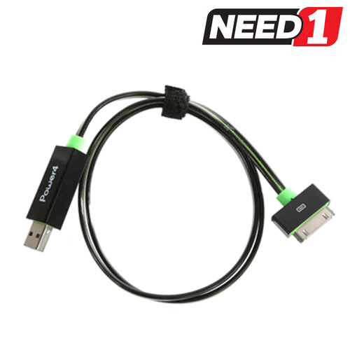 Flashing Light Charge & Sync Cable