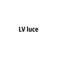 Buy LV Luce 20W Twin Security Garage Spot Flood Light Outdoor